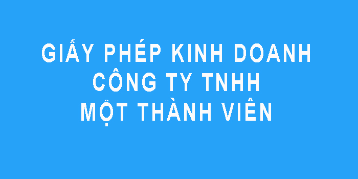 Giấy phép kinh doanh Công ty TNHH một thành viên