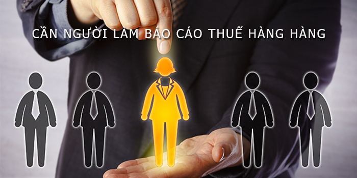 cần người làm báo cáo thuế hàng tháng