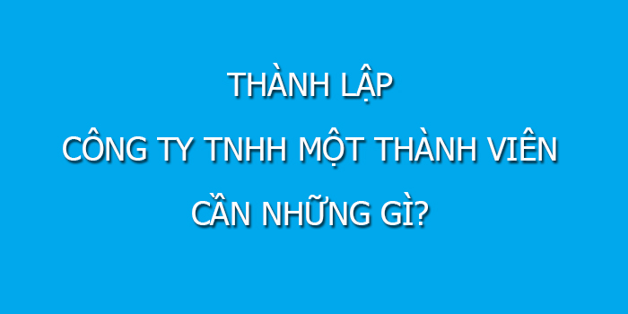 Thanh Lap Cong Ty Tnhh Mot Thanh Vien Can Nhung Gi