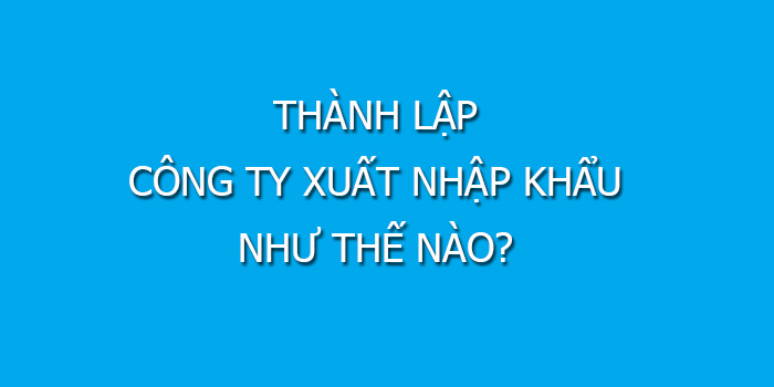 Thanh Lap Cong Ty Xuat Nhap Khau Nhu The Nap