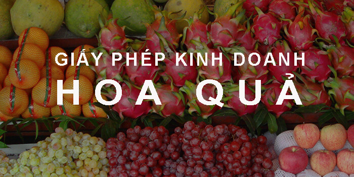 Giay Phep Kinh Doanh Hoa Qua