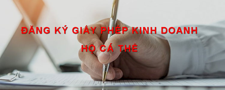 Dang Ky Giay Phep Kinh Doanh Ho Ca The